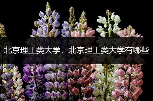北京理工类大学，北京理工类大学有哪些