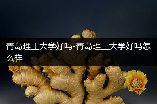 青岛理工大学好吗-青岛理工大学好吗怎么样