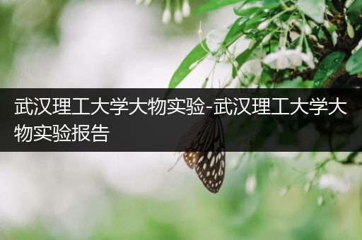 武汉理工大学大物实验-武汉理工大学大物实验报告