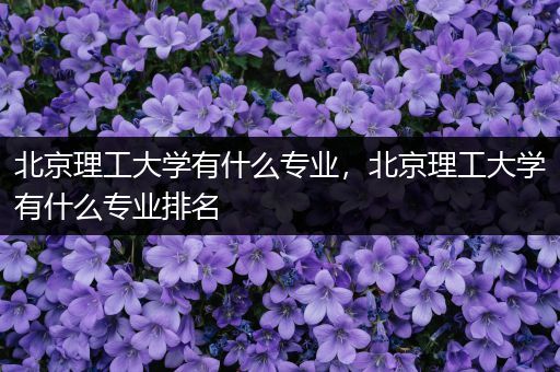 北京理工大学有什么专业，北京理工大学有什么专业排名