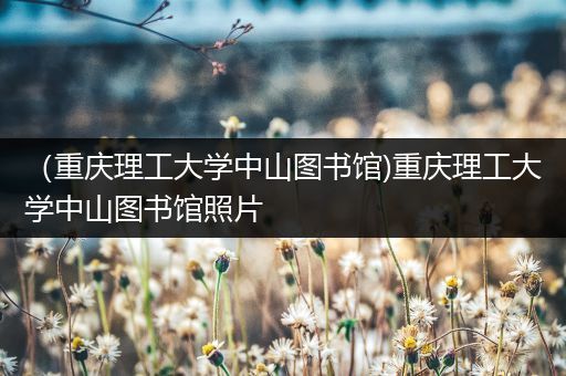 （重庆理工大学中山图书馆)重庆理工大学中山图书馆照片