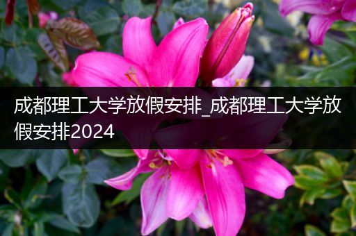 成都理工大学放假安排_成都理工大学放假安排2024