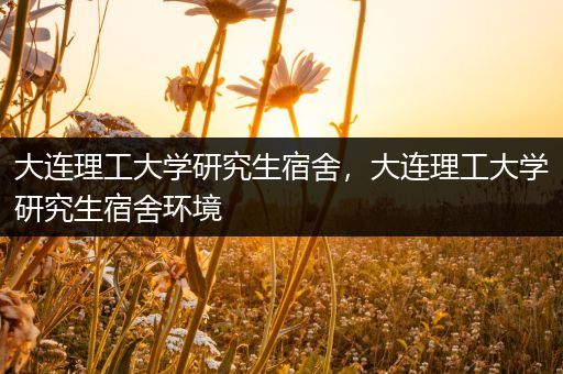 大连理工大学研究生宿舍，大连理工大学研究生宿舍环境