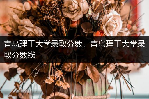 青岛理工大学录取分数，青岛理工大学录取分数线