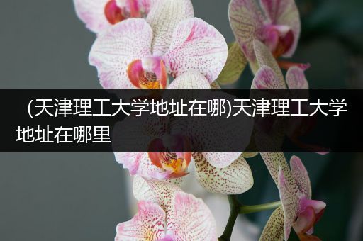 （天津理工大学地址在哪)天津理工大学地址在哪里