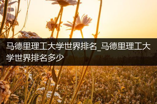 马德里理工大学世界排名_马德里理工大学世界排名多少