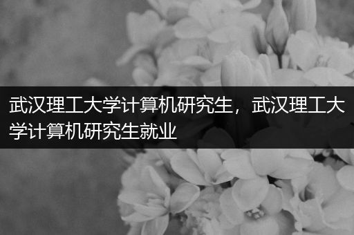 武汉理工大学计算机研究生，武汉理工大学计算机研究生就业