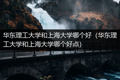 华东理工大学和上海大学哪个好（华东理工大学和上海大学哪个好点）