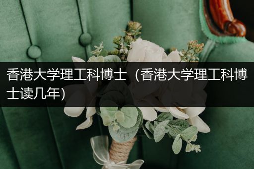 香港大学理工科博士（香港大学理工科博士读几年）