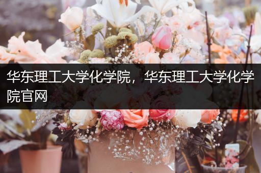 华东理工大学化学院，华东理工大学化学院官网
