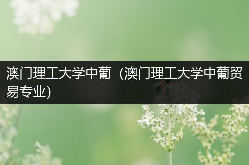 澳门理工大学中葡（澳门理工大学中葡贸易专业）