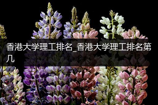 香港大学理工排名_香港大学理工排名第几