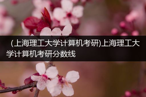（上海理工大学计算机考研)上海理工大学计算机考研分数线