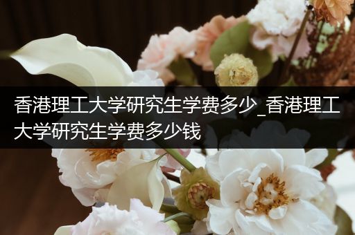 香港理工大学研究生学费多少_香港理工大学研究生学费多少钱