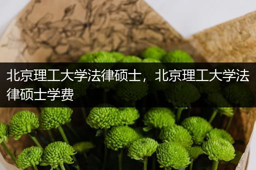 北京理工大学法律硕士，北京理工大学法律硕士学费