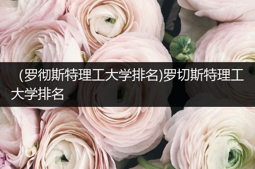 （罗彻斯特理工大学排名)罗切斯特理工大学排名