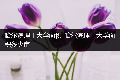 哈尔滨理工大学面积_哈尔滨理工大学面积多少亩