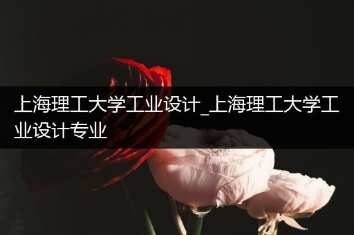 上海理工大学工业设计_上海理工大学工业设计专业