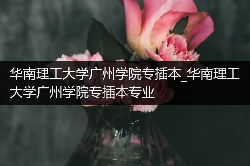 华南理工大学广州学院专插本_华南理工大学广州学院专插本专业