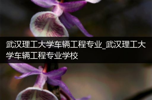 武汉理工大学车辆工程专业_武汉理工大学车辆工程专业学校