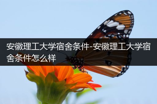 安徽理工大学宿舍条件-安徽理工大学宿舍条件怎么样