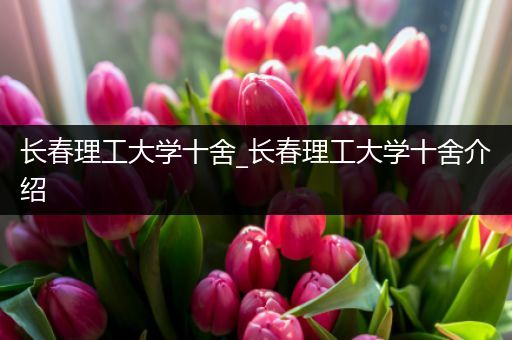 长春理工大学十舍_长春理工大学十舍介绍
