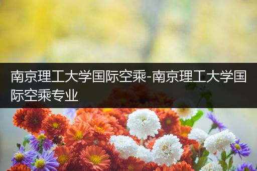 南京理工大学国际空乘-南京理工大学国际空乘专业