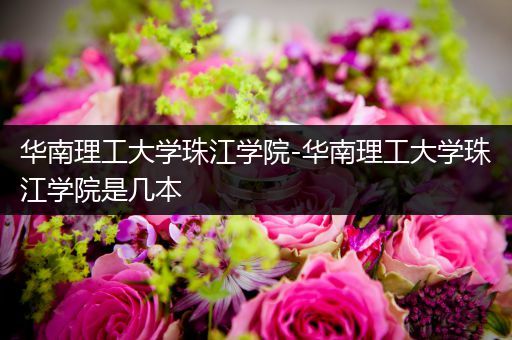 华南理工大学珠江学院-华南理工大学珠江学院是几本