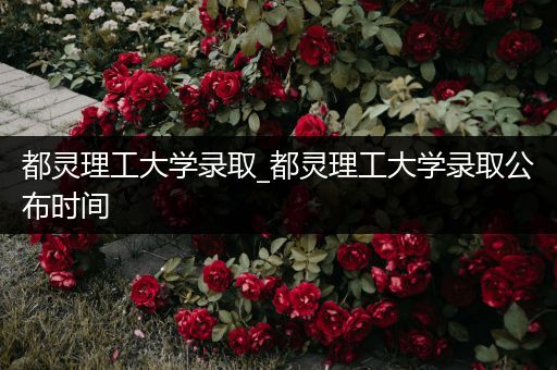 都灵理工大学录取_都灵理工大学录取公布时间