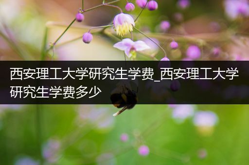 西安理工大学研究生学费_西安理工大学研究生学费多少