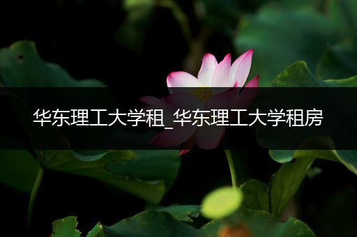 华东理工大学租_华东理工大学租房