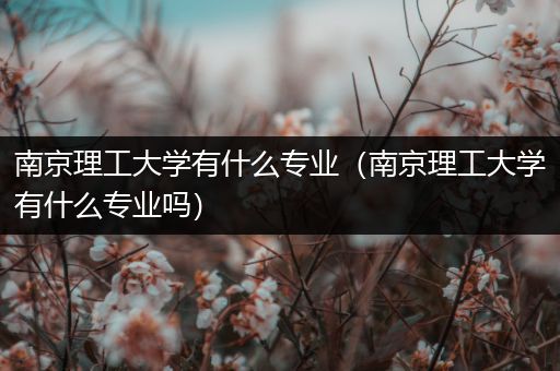 南京理工大学有什么专业（南京理工大学有什么专业吗）