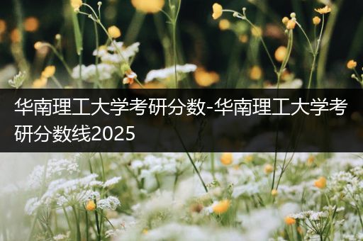 华南理工大学考研分数-华南理工大学考研分数线2025