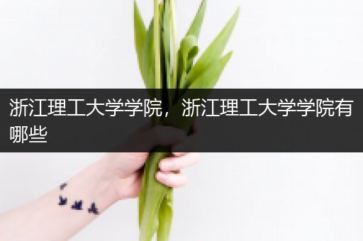 浙江理工大学学院，浙江理工大学学院有哪些