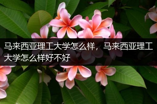 马来西亚理工大学怎么样，马来西亚理工大学怎么样好不好
