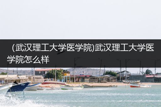 （武汉理工大学医学院)武汉理工大学医学院怎么样