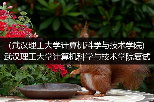 （武汉理工大学计算机科学与技术学院)武汉理工大学计算机科学与技术学院复试