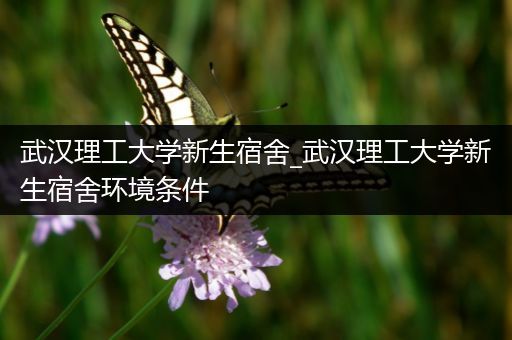 武汉理工大学新生宿舍_武汉理工大学新生宿舍环境条件