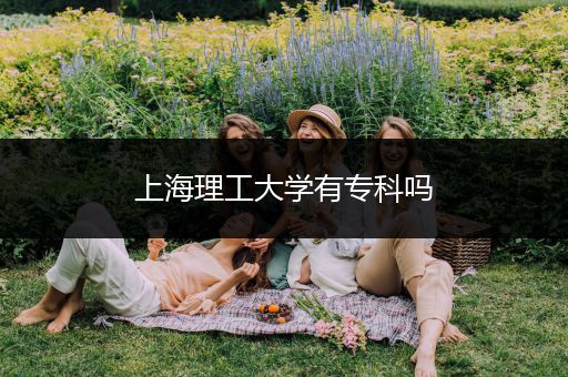 上海理工大学有专科吗