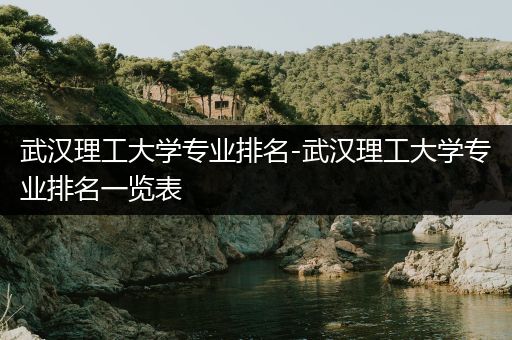 武汉理工大学专业排名-武汉理工大学专业排名一览表
