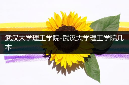 武汉大学理工学院-武汉大学理工学院几本