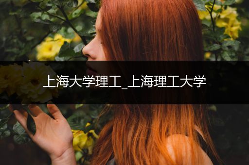 上海大学理工_上海理工大学
