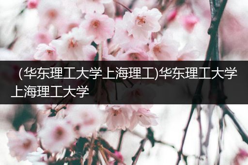 （华东理工大学上海理工)华东理工大学上海理工大学