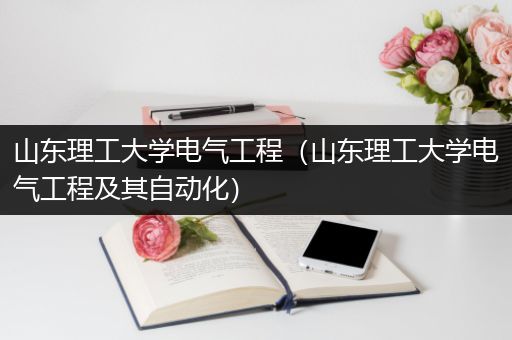 山东理工大学电气工程（山东理工大学电气工程及其自动化）
