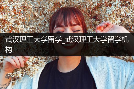 武汉理工大学留学_武汉理工大学留学机构