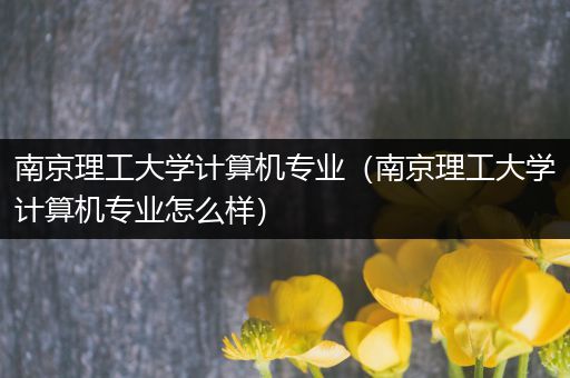 南京理工大学计算机专业（南京理工大学计算机专业怎么样）