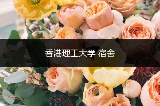 香港理工大学 宿舍