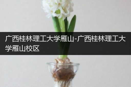 广西桂林理工大学雁山-广西桂林理工大学雁山校区