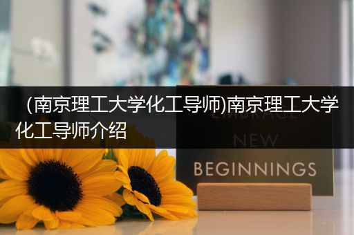 （南京理工大学化工导师)南京理工大学化工导师介绍