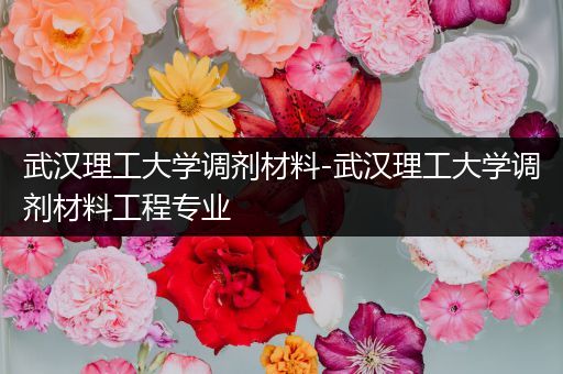 武汉理工大学调剂材料-武汉理工大学调剂材料工程专业